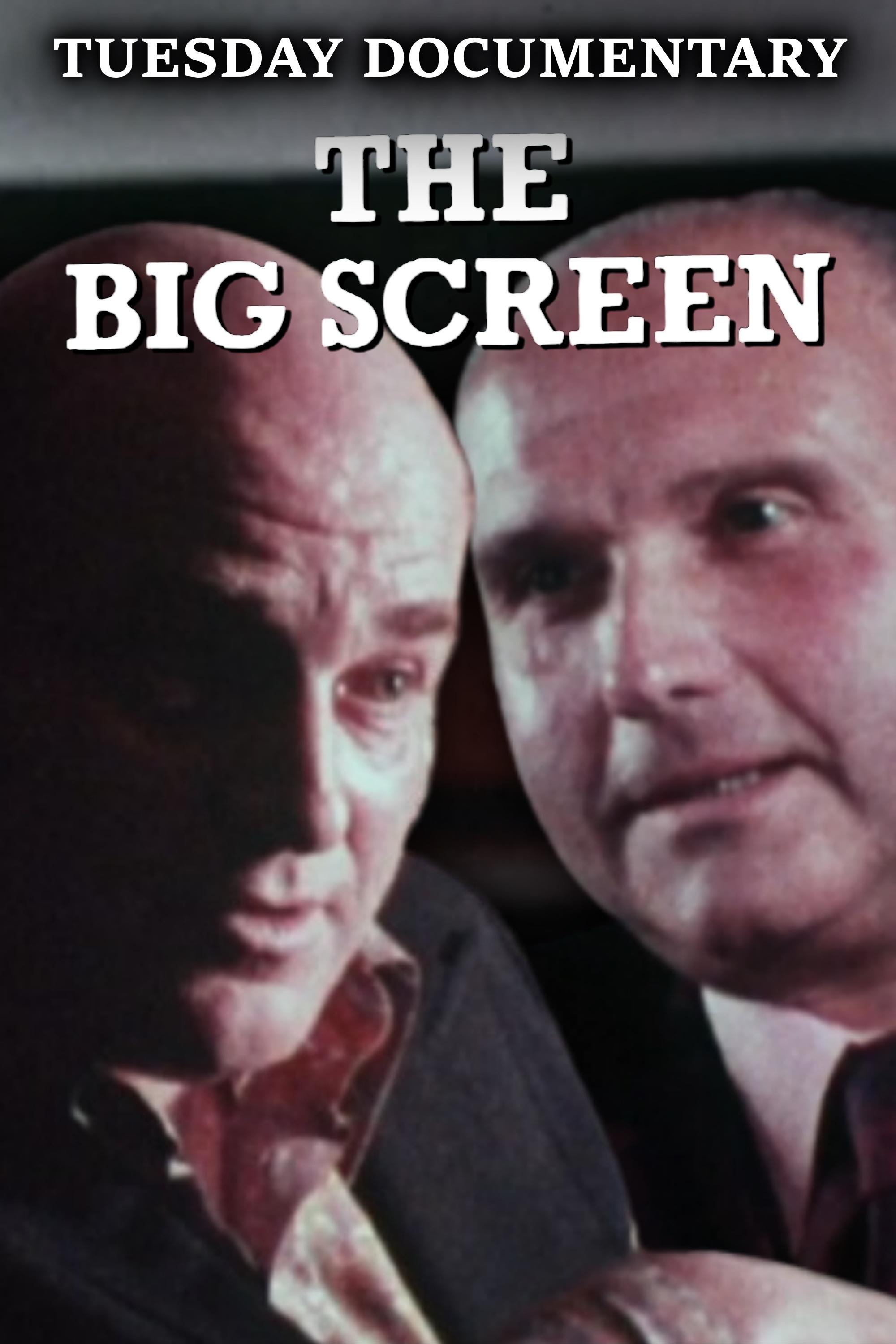 Постер The Big Screen